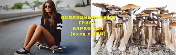 кокс Армянск